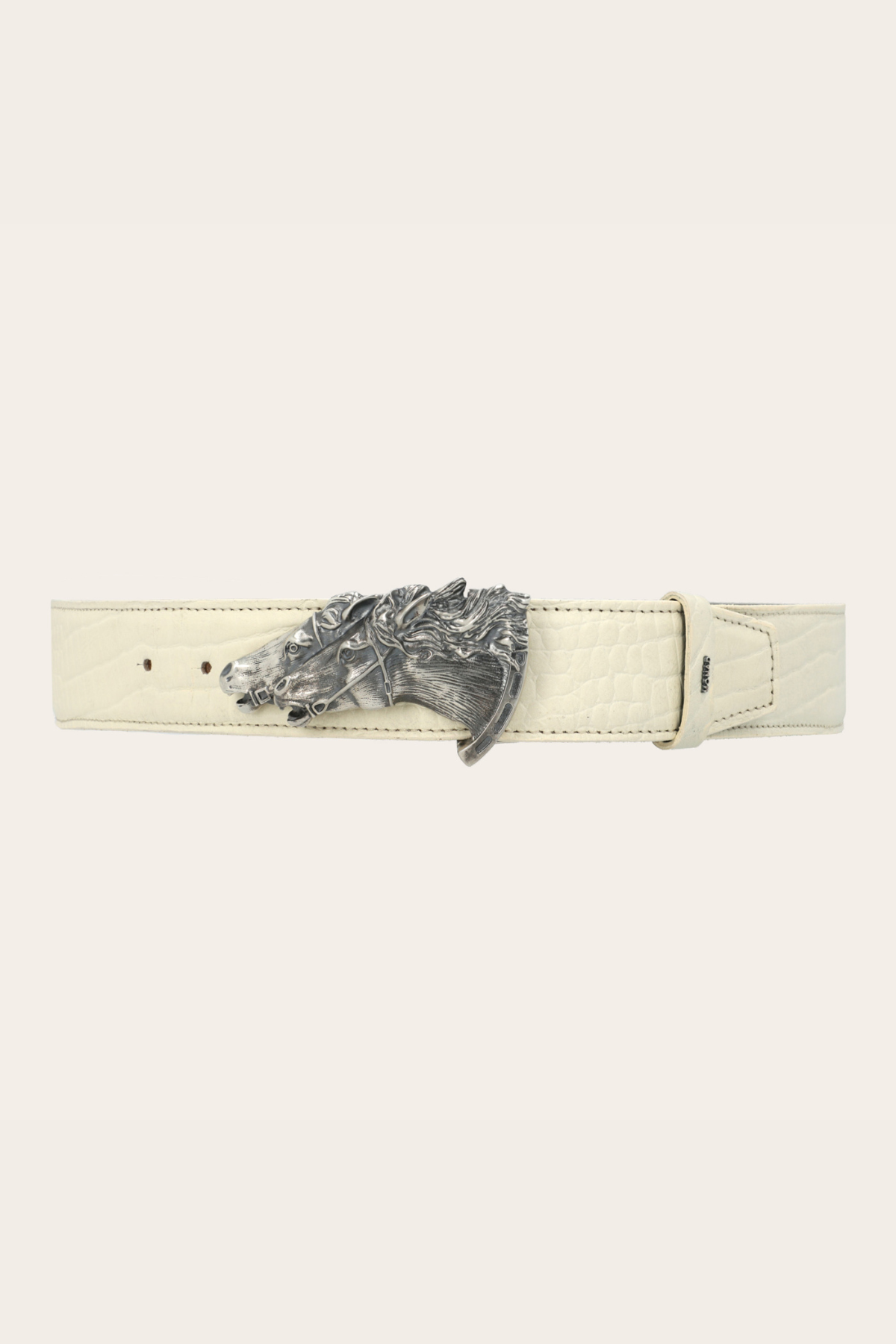 Equo in Dusty Bone